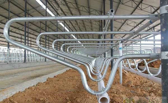 Schwimmende Nackenbahnen und Flexible Schleifen Milchvieh Freistehendes System für dauerhafte Betriebe