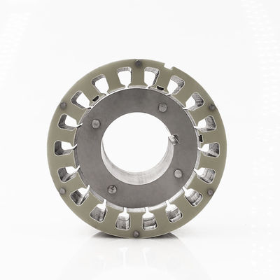 Massenfertigung Stamping Teil Loose Layer Pin Rator Stator mit Silizium Stahlblech