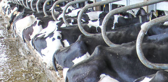 Metallguss und Edelstahl, geschweißt für schnelle Ergebnisse